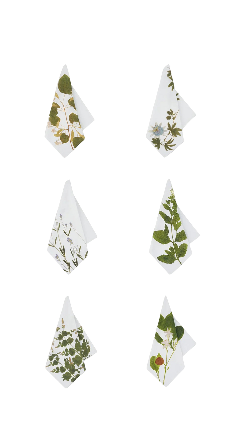 'Tisane' Herb Linen Napkins - Set of Six