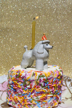 Poodle Cake Topper