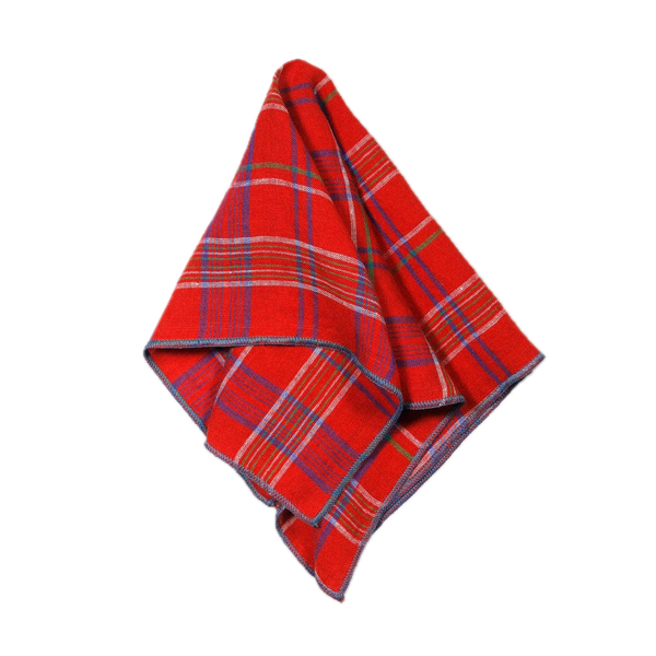 Red & Blue Plaid Napkins - Set of 4