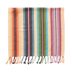 Mini Rainbow Stripe Kitchen Towel