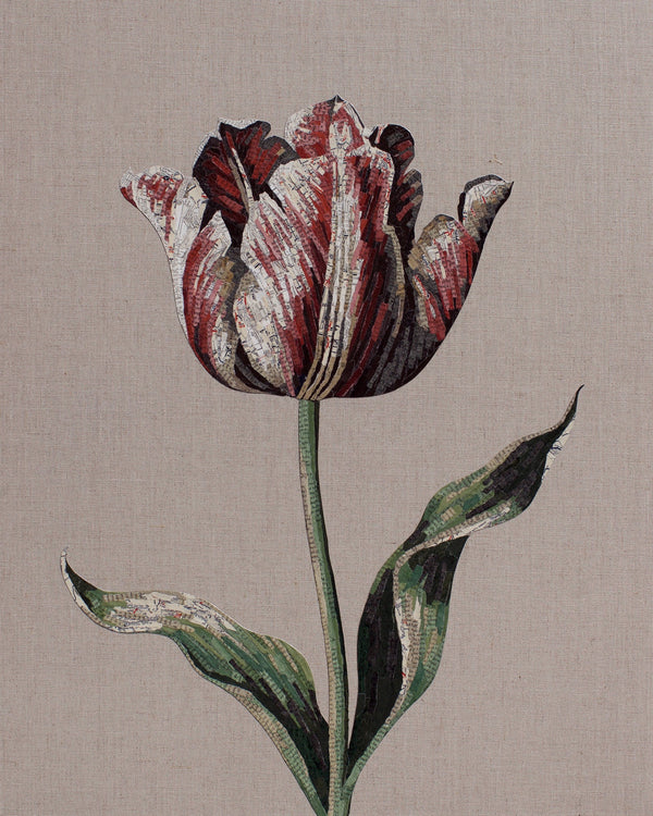 Inspire (Tulip)